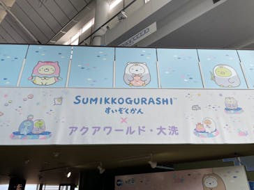 アクアワールド茨城県大洗水族館に投稿された画像（2024/8/29）