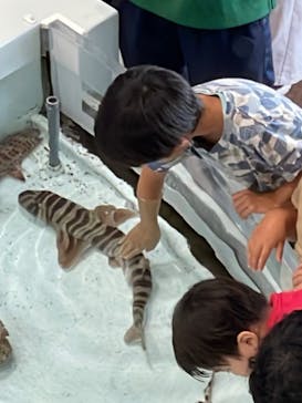 アクアワールド茨城県大洗水族館に投稿された画像（2024/8/29）