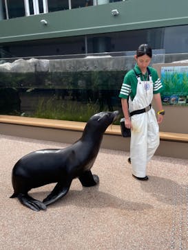 アクアワールド茨城県大洗水族館に投稿された画像（2024/8/29）