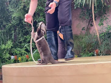 マクセル アクアパーク品川に投稿された画像（2024/8/29）