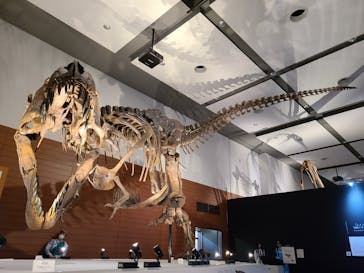 DinoScience 恐竜科学博 ～ララミディア大陸の恐竜物語～ 2024@OSAKAに投稿された画像（2024/8/29）