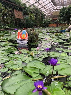 神戸どうぶつ王国に投稿された画像（2024/8/29）