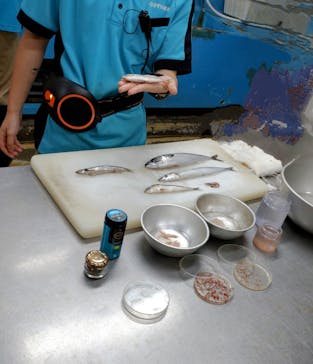 しながわ水族館に投稿された画像（2024/8/29）