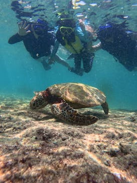 宮古島 ADVENTURE PiPi（ミヤコジマ アドベンチャー ピピ）に投稿された画像（2024/8/29）