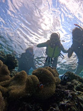 宮古島 ADVENTURE PiPi（ミヤコジマ アドベンチャー ピピ）に投稿された画像（2024/8/29）