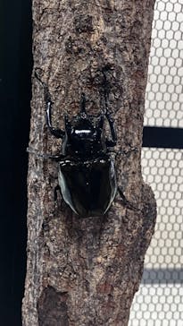 JOYPOLIS 特別イベントスペースに投稿された画像（2024/8/29）