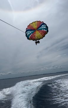 Sea World（シーワールド）に投稿された画像（2024/8/29）