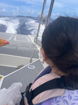 Sea World（シーワールド）に投稿された画像（2024/8/29）