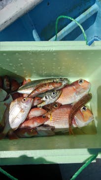 熱海  伊豆山港 第10喜久丸に投稿された画像（2024/8/29）