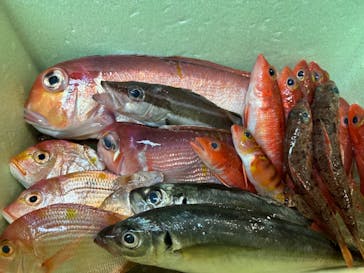 熱海  伊豆山港 第10喜久丸に投稿された画像（2024/8/29）