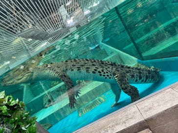 NIFREL（ニフレル）に投稿された画像（2024/8/29）