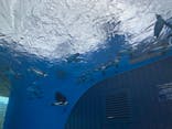 サンシャイン水族館に投稿された画像（2024/8/29）