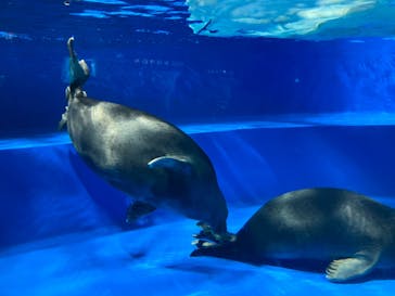 サンシャイン水族館に投稿された画像（2024/8/29）