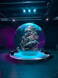 AQUARIUM × ART　atoaに投稿された画像（2024/8/30）