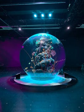 AQUARIUM × ART　atoaに投稿された画像（2024/8/29）