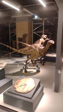 福井県立恐竜博物館に投稿された画像（2024/8/29）