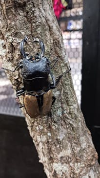 東京ジョイポリスに投稿された画像（2024/8/29）