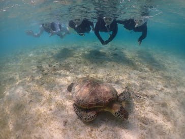 元気玉に投稿された画像（2024/8/29）