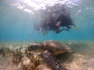 元気玉に投稿された画像（2024/8/29）