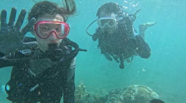 武藤潜水に投稿された画像（2024/8/30）