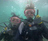 武藤潜水に投稿された画像（2024/8/30）