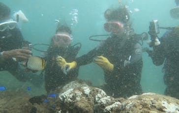 武藤潜水に投稿された画像（2024/8/30）