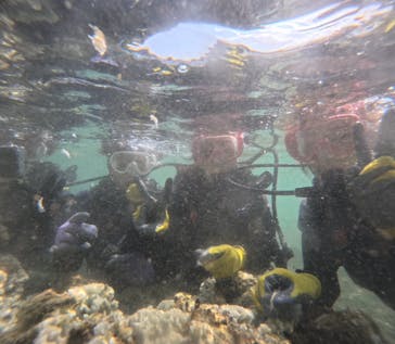 武藤潜水に投稿された画像（2024/8/30）