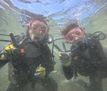 武藤潜水に投稿された画像（2024/8/30）