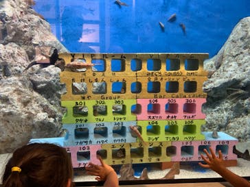 竹島水族館に投稿された画像（2024/8/30）