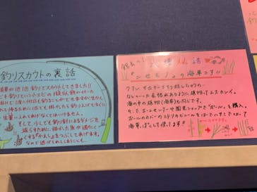 竹島水族館に投稿された画像（2024/8/30）