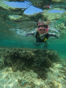 沖縄マリンサービス碧に投稿された画像（2024/8/30）