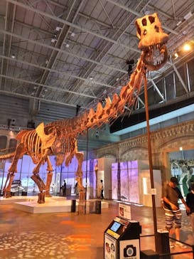 巨大恐竜展2024に投稿された画像（2024/8/30）