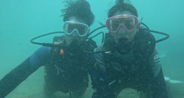 武藤潜水に投稿された画像（2024/8/30）