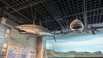 九十九島パールシーリゾートに投稿された画像（2024/8/30）