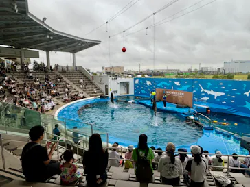 仙台うみの杜水族館に投稿された画像（2024/8/30）