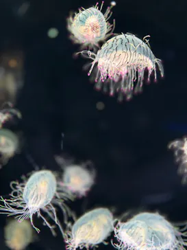 仙台うみの杜水族館に投稿された画像（2024/8/30）