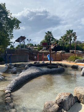 鈴鹿サーキットに投稿された画像（2024/8/30）