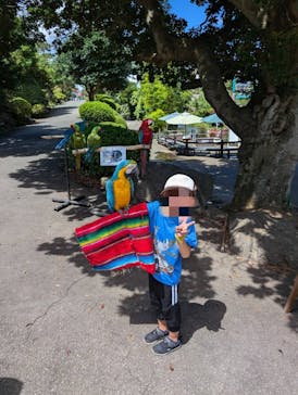 伊豆シャボテン動物公園に投稿された画像（2024/8/30）