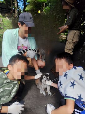 伊豆シャボテン動物公園に投稿された画像（2024/8/30）