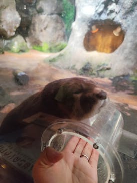 伊豆シャボテン動物公園に投稿された画像（2024/8/30）