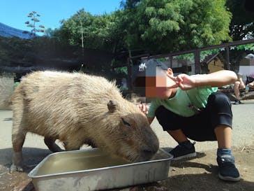 伊豆シャボテン動物公園に投稿された画像（2024/8/30）