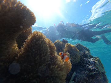 宮古島 ADVENTURE PiPi（ミヤコジマ アドベンチャー ピピ）に投稿された画像（2024/8/30）