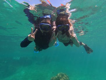 宮古島 ADVENTURE PiPi（ミヤコジマ アドベンチャー ピピ）に投稿された画像（2024/8/30）