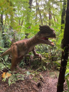 御菓子御殿　名護店　やんばる亜熱帯の森DINO恐竜PARKに投稿された画像（2022/7/29）