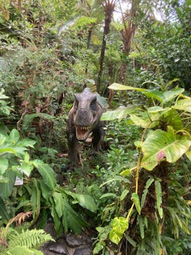 御菓子御殿　名護店　やんばる亜熱帯の森DINO恐竜PARKに投稿された画像（2022/7/29）
