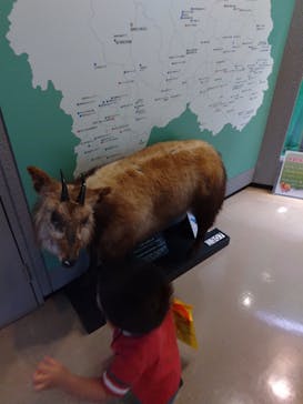 岐阜県博物館に投稿された画像（2024/8/30）