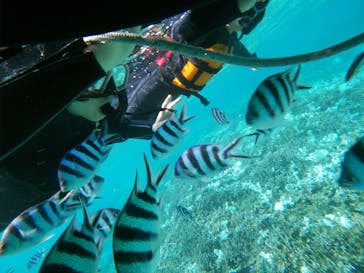 青の洞窟専門店 ブルーオーシャンに投稿された画像（2024/8/30）