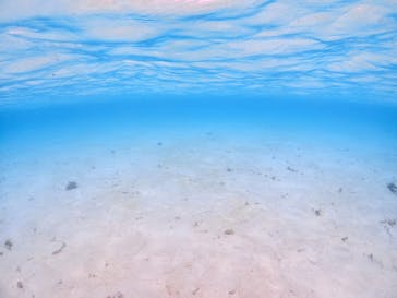 Cheerful 宮古島(チアフル)に投稿された画像（2024/8/26）