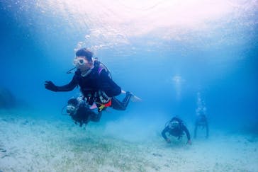 アクアドロップに投稿された画像（2024/8/26）