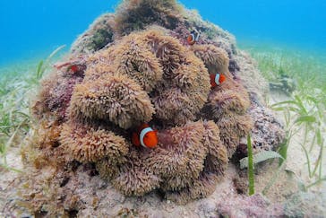 アクアドロップに投稿された画像（2024/8/26）